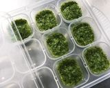 離乳食初期＊フリージング＊ブロッコリー作り方6写真