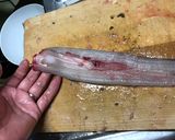 アナゴの捌き方作り方8写真