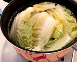 簡単★白菜と豚ミンチで手作り餃子作り方1写真