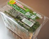 ブロッコリースプラウトのタネ外し☆作り方1写真