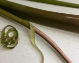 ★赤ずいきの酢の物スコ（福井の郷土料理）作り方1写真