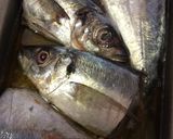 魚のスープ☆インドネシア作り方1写真
