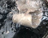 牛ハツモトの焼肉風炒め作り方2写真
