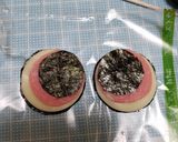 パワーパフガールズ『ブロッサム』キャラ弁作り方8写真