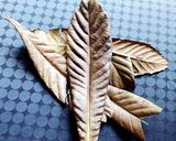 びわ茶作り方3写真