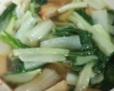 しろ菜とさつま揚げの炊いたん作り方8写真