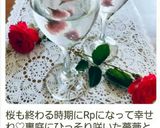 桜の塩漬けゼリー作り方8写真