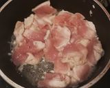 鶏肉のハヤシソース作り方2写真