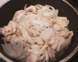 鶏肉のハヤシソース作り方3写真