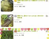 簡単！！わらびのアク抜き！作り方5写真