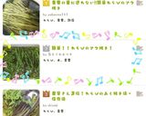 簡単シャキシャキネバネバわらびのおひたし作り方5写真