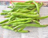 トルコ料理☆未成熟ソラマメのオイル煮作り方1写真