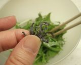 隙間おかず♪水菜の塩昆布おかか和え作り方4写真