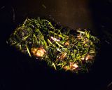 ダッチオーブンで✿子羊の香草焼き作り方6写真