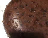 羊羹リメイク ブラウニー 炊飯器HM作り方12写真