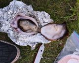 キャンプでバーナー焼き牡蠣作り方4写真