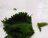 包んで揚げ焼き♪鶏ササミとチーズの春巻き作り方2写真