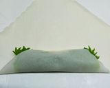 包んで揚げ焼き♪鶏ササミとチーズの春巻き作り方11写真