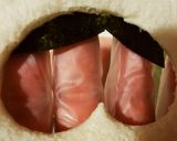 キャラ弁♪おしりたんてい♪サンドイッチ作り方6写真