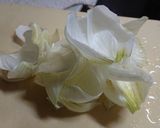 放置!新玉ねぎのお漬物♪作り方9写真