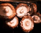 しいたけの肉詰め作り方1写真