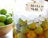 梅酢の作り方作り方4写真