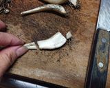 ラッキョウの甘酢漬け作り方1写真