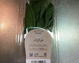 バジルオイル作り方1写真
