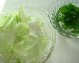 春キャベツ☆新玉ねぎの和風サラダ作り方1写真