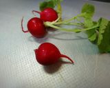 ずぼら(3分)♥️ラディッシュのたたき作り方1写真