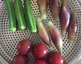 赤酢はちみつ漬け作り方1写真