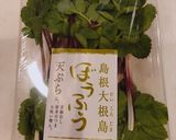 簡単サックサク天ぷら〜ぼうふう・山菜〜作り方1写真