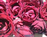 材料3つ♪薔薇のシロップ作り方1写真