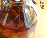 梅シロップ＊冷凍梅＆酢で早のみ美味作り方20写真