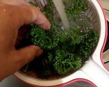 パセリの冷凍保存の方法作り方1写真