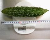 ゴーヤーのシークヮーサー醤油和え作り方1写真