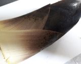 タケノコを茹でる作り方3写真