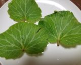 エビヅルの新芽とユキノシタの天ぷら作り方3写真