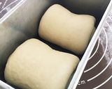 シンプルなパン生地(食パン)作り方6写真