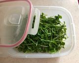 ☆ごま油香る豆苗とツナの和え物☆作り方7写真