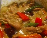 たっぷりココナッツミルクでグリーンカレー作り方10写真
