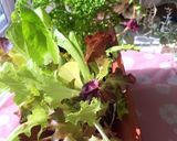 6月4日　薔薇くまちゃん玄米弁当　詰め方作り方13写真