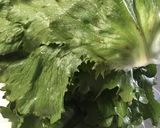 もったいない レタスロール作り方1写真