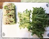 ぱぱっと豆苗塩昆布やみつきサラダ作り方1写真