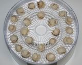 簡単☆乾燥ホタテガリバタ醤油炊き込みご飯作り方4写真
