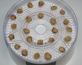 簡単☆乾燥ホタテガリバタ醤油炊き込みご飯作り方5写真