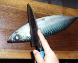 鯖の三枚おろし作り方1写真