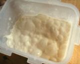 天然果実酵母　２　～強力粉のパン種～作り方14写真