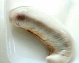 ふぐの白子とセイゴのハーブグリル作り方3写真