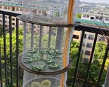 超簡単干すだけ乾燥野菜作り方6写真
